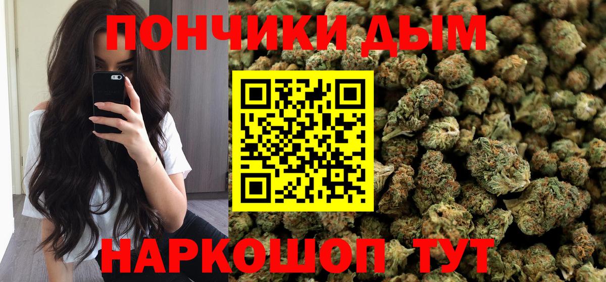 Бошки марихуана гибрид Гусев